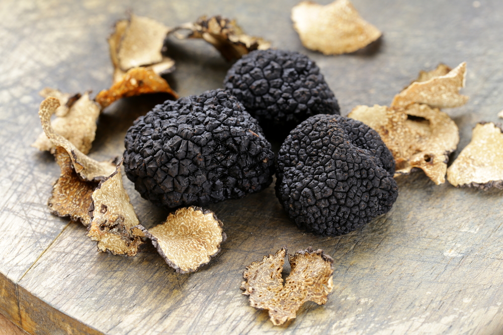 Comment choisir et cuisiner la truffe noire ﻿