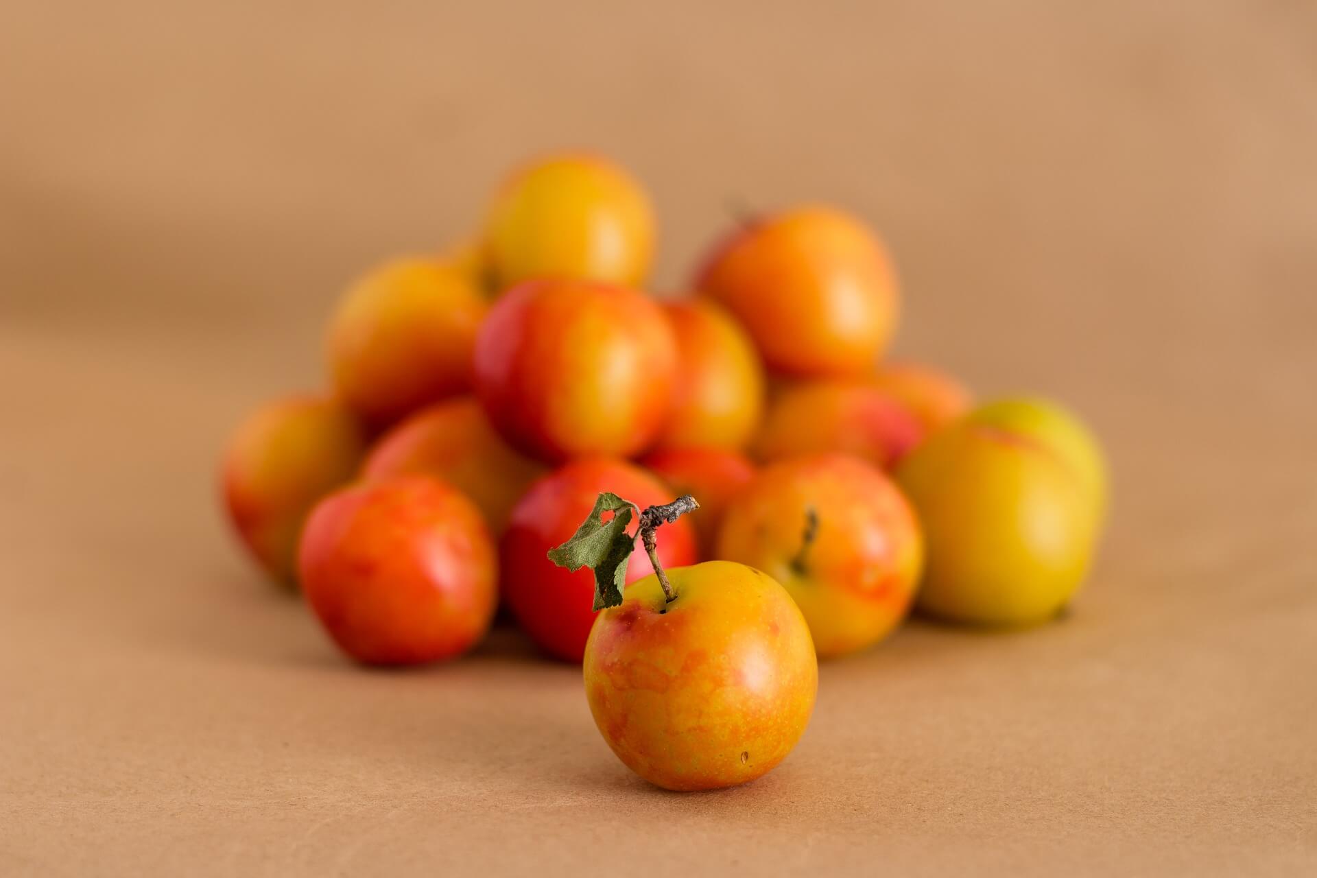 Mirabelles de Lorraine